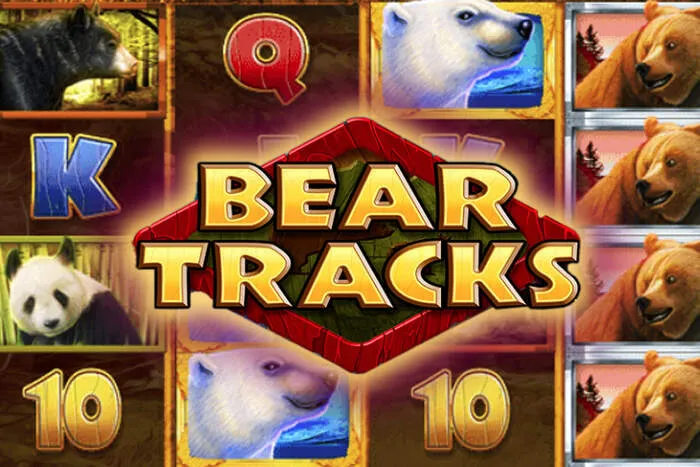 Bigspincasino slot machine review showcasing top-rated games and their RTP percentages.
